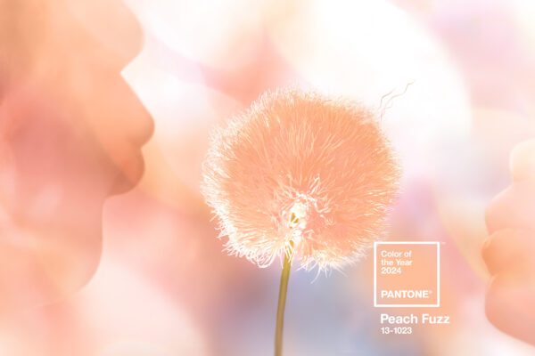 Colore Pantone 2024