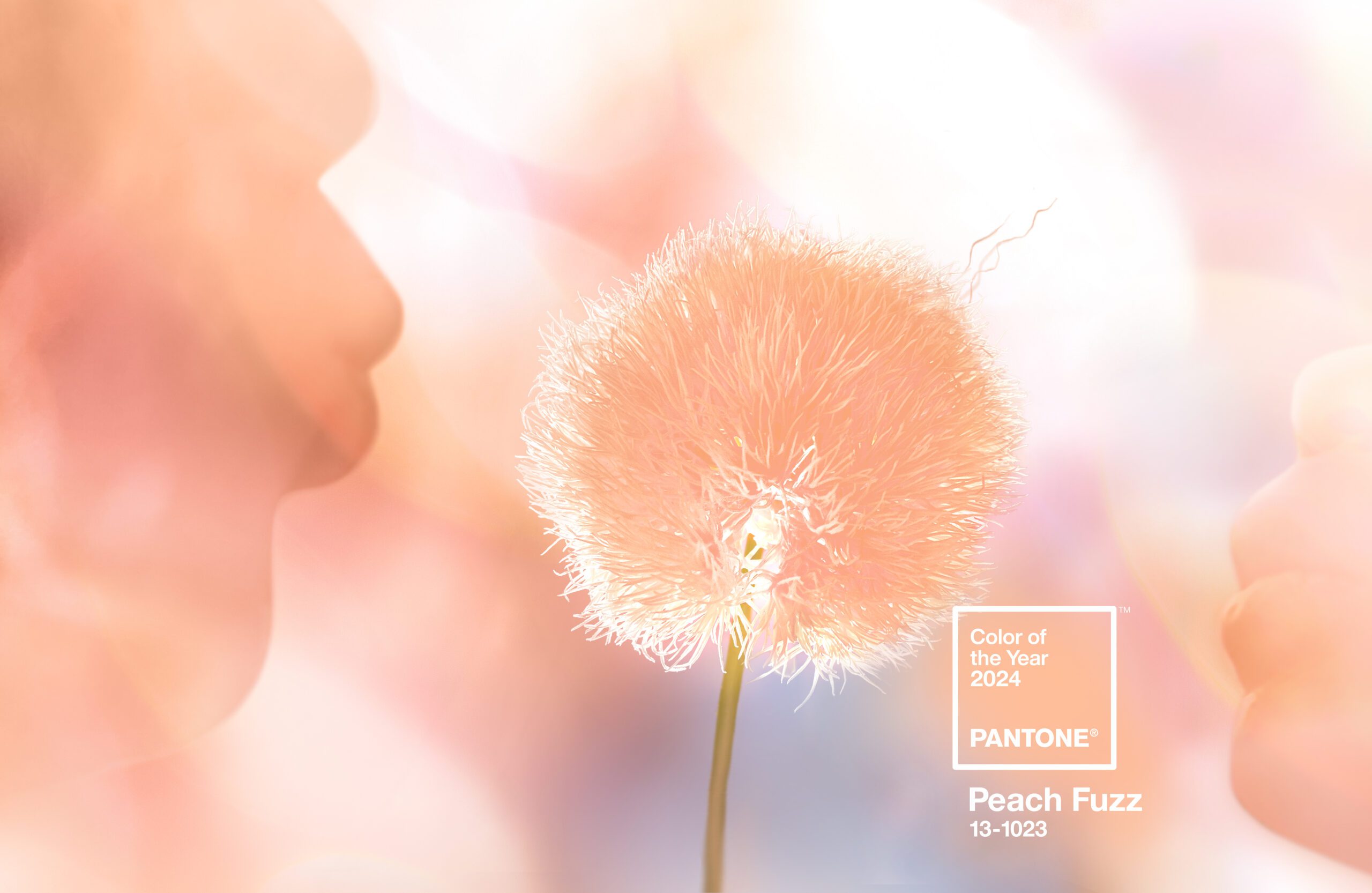 Colore Pantone 2024